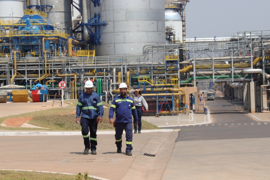 Celulose lidera exportações e impulsiona crescimento industrial em Mato Grosso do Sul