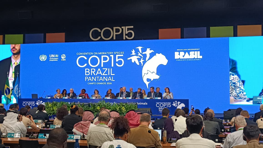Conferência da ONU em Campo Grande coloca MS no centro do debate global sobre meio ambiente