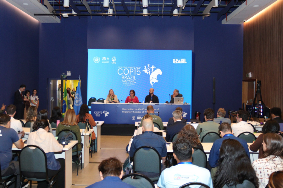 Financiamento ambiental domina debate no Dia do Pantanal durante COP15