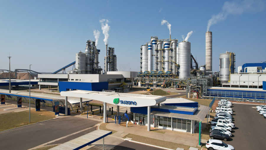 Suzano bate recorde histórico de vendas de celulose