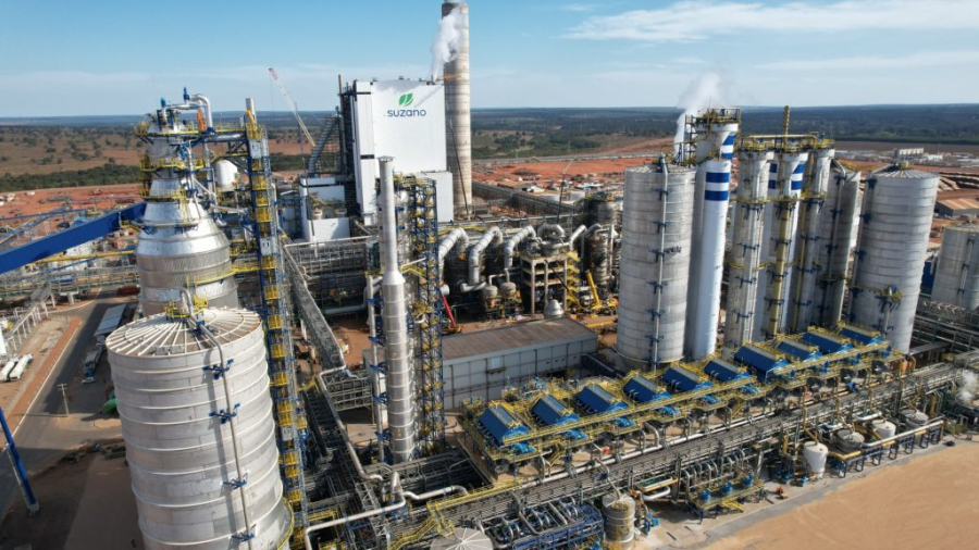 Suzano abre vagas em Ribas do Rio Pardo