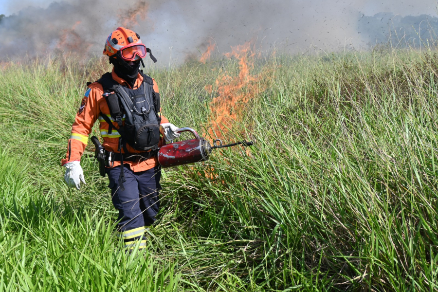 MS usa queima controlada para prevenir incêndios em parque estadual
