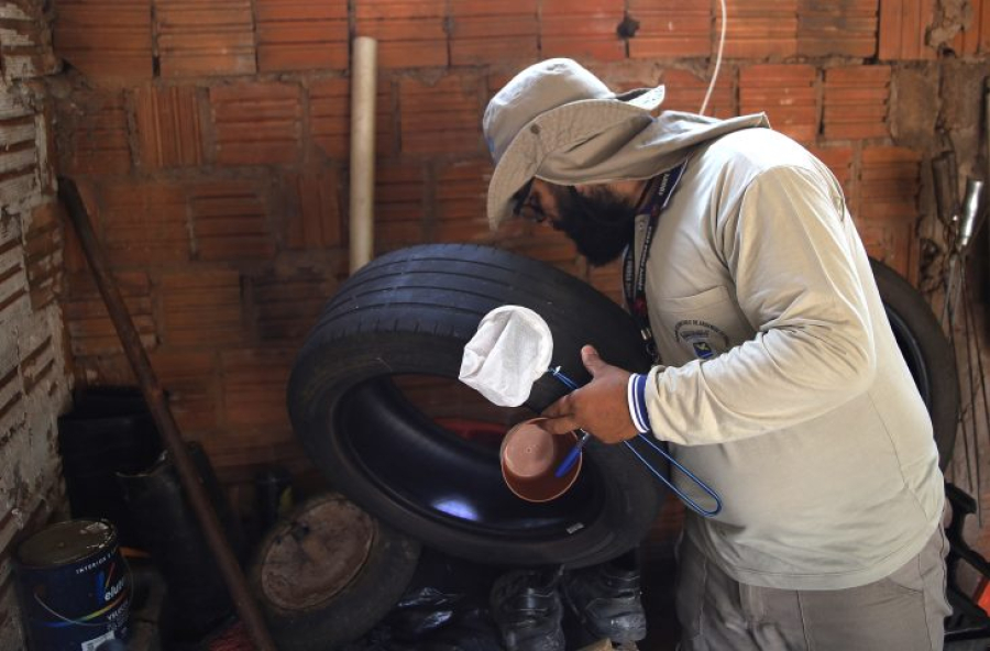 Chikungunya já soma 21 mortes em MS