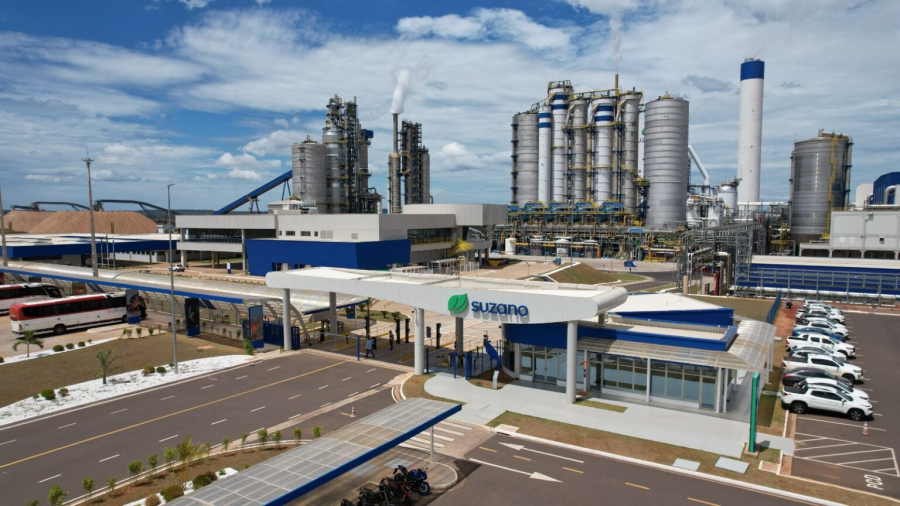 Suzano movimenta R$ 3,7 bilhões com fornecedores de MS