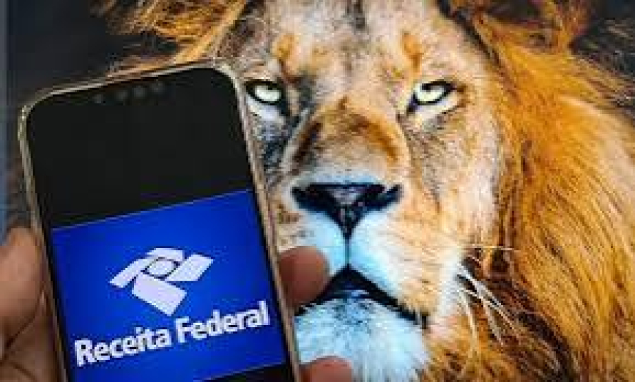 MS lidera país em destinações do IR para fundos sociais