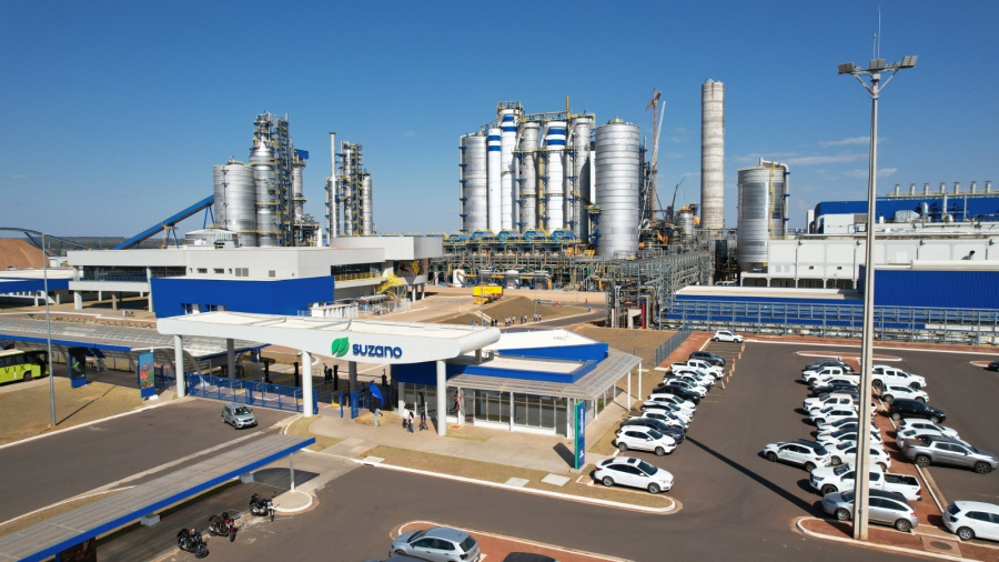 Suzano abre 10 vagas temporárias para instrutores florestais em MS