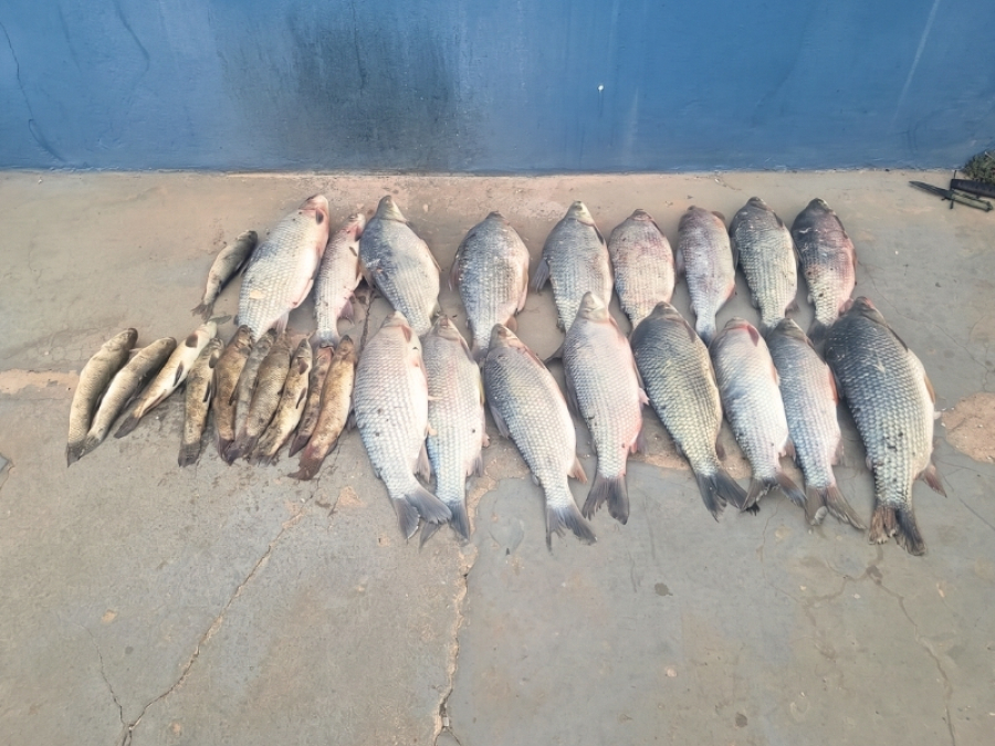 MPMS investiga pesca ilegal e danos ambientais em Água Clara