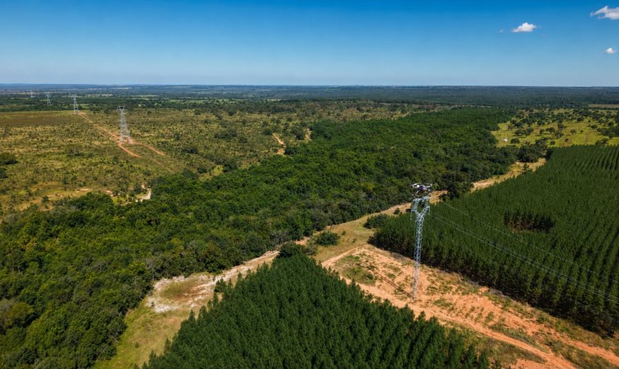 Drones ajudam Arauco a preservar vegetação em MS
