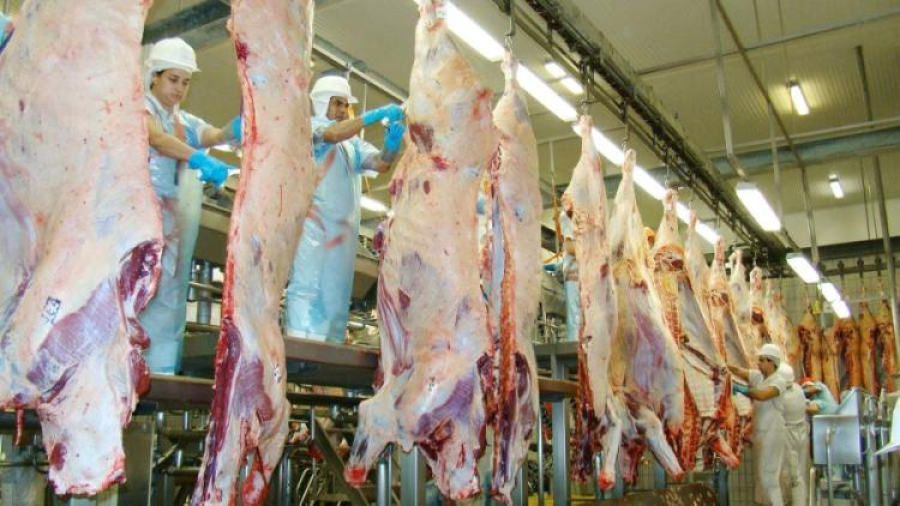Tarifa dos EUA deve ter impacto limitado no agro de Mato Grosso do Sul