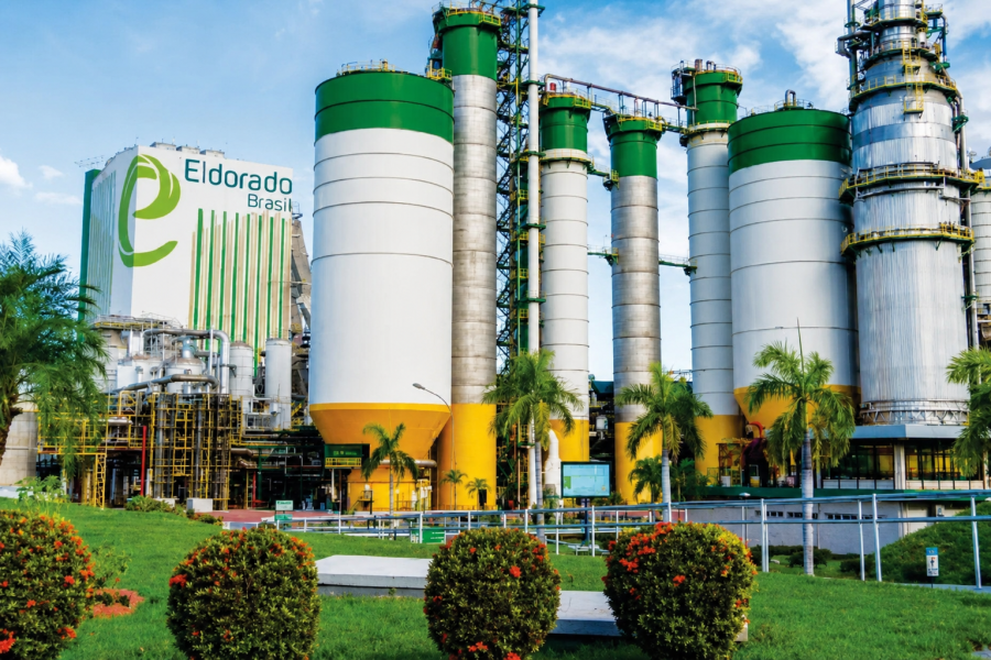 Eldorado seleciona operador de colheita florestal