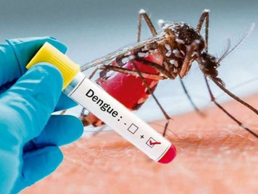 Três Lagoas soma 76 casos de dengue