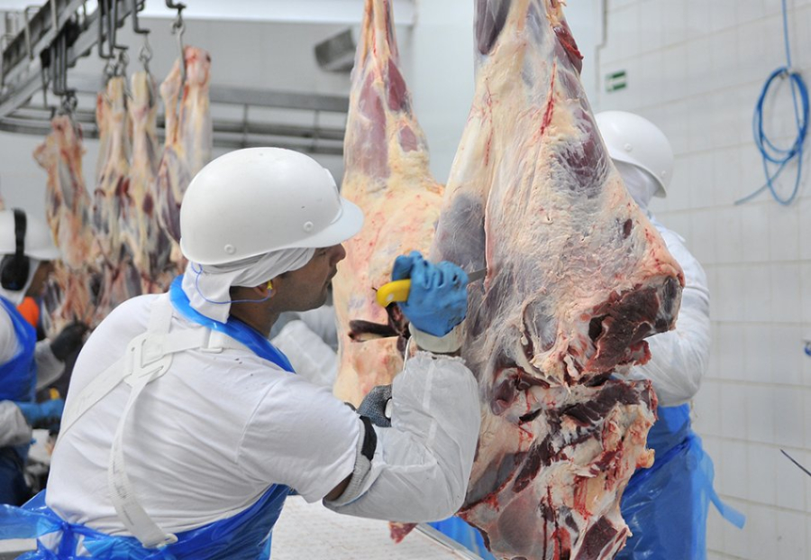 MS bate recorde na produção de carne