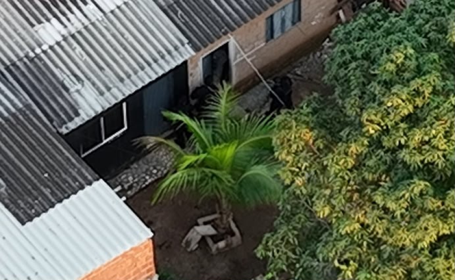 PF cumpre 24 mandados de prisão em MS